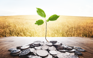 7 Tips to Reduce Energy Costs