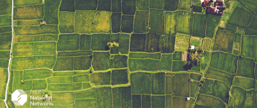 The Geography of Manufacturing: The Case of MEP and Rural Manufacturers